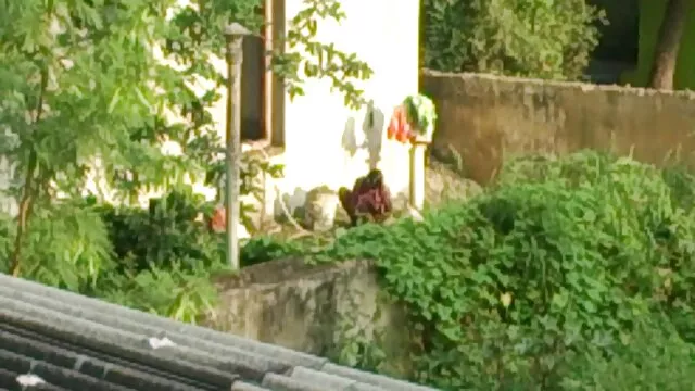 बिग लूट एमआईएलए बड़ा काला मुर्गा बीपी सेक्सी वीडियो फिल्म प्यार करता है