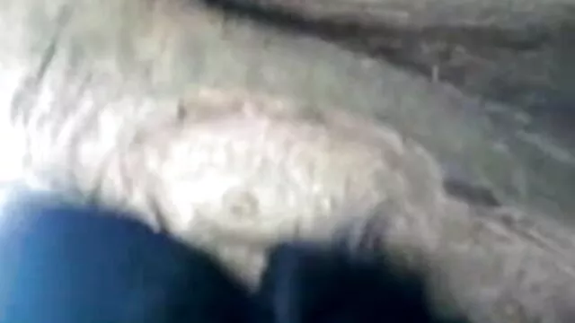 दोनों हाथों में हिंदी बीपी सेक्सी मूवी गर्भवती माताओं योनी