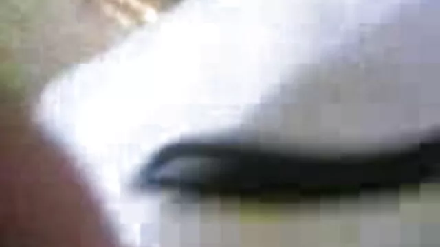 सेक्सी बीपी सेक्सी फिल्म दाना बड़ा मुर्गा प्यार करता है