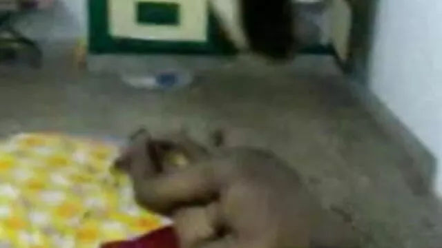 टैटू कुत्ते की स्थिति और सेक्सी बीपी फिल्म देखने वाली मुँह में सह
