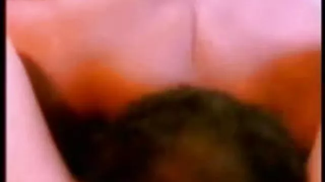 मुर्गा भूख सौंदर्य बीपी सेक्सी मूवी बीपी सेक्सी मूवी