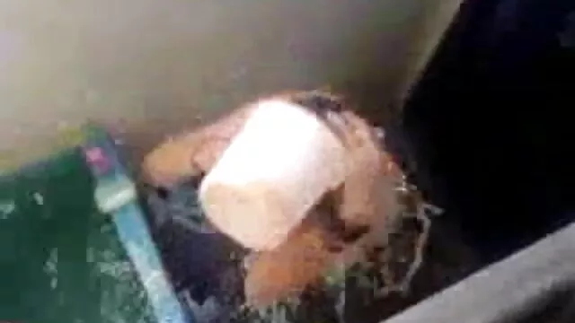 बड़े चूची श्यामला बाथरूम ब्लू सेक्सी बीपी मूवी में टक्कर लगी है