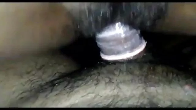 मैं उसे जोर से विलाप बीपी पिक्चर फिल्म सेक्सी का विरोध नहीं कर सकता-बिल्ली खेलने में पीओवी मुर्गा