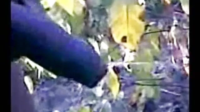 समुद्र तट पर बड़े उल्लू सेक्सी वीडियो फिल्म बीपी किशोर नृत्य - स्तन विस्तार खूबसूरत लड़कियों बजना