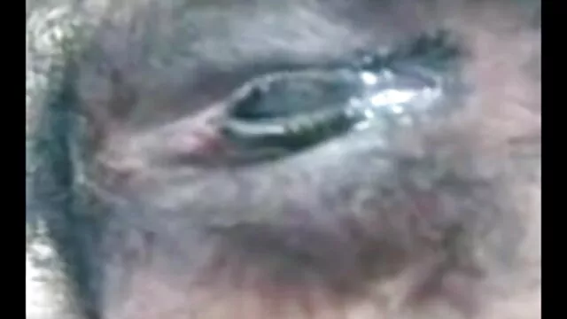 गैंगबैंग सेक्स में एशियाई बीपी सेक्सी वीडियो फिल्म बेब