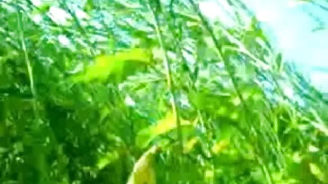 समलैंगिक रूम अपार्टमेंट बंद के साथ बीपी ओपन सेक्सी फिल्म डेविन भड़कना और डायलन के निशान