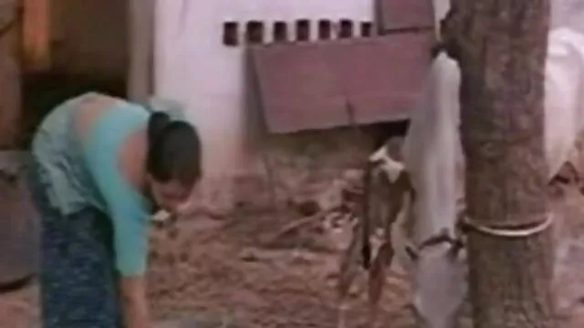 गुदा यूरोपीय त्रिगुट सोफे पर सेक्सी बीपी फिल्म देखने वाली