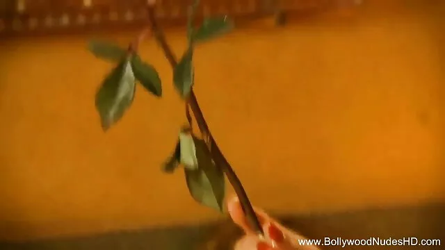 एक सुंदर श्यामला खाल सेक्सी ओपन बीपी फिल्म उधेड़नेवाला क्लब में