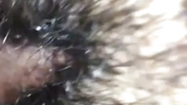 गीला सेक्सी बीपी मूवी पत्नी पीओवी