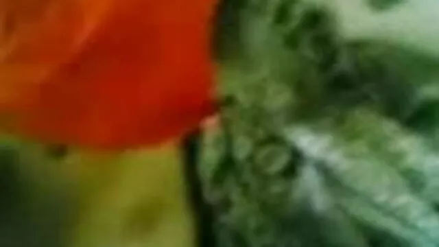 पतला चेक मॉडल बड़ा ब्लू सेक्सी बीपी मूवी मुर्गा लेता है