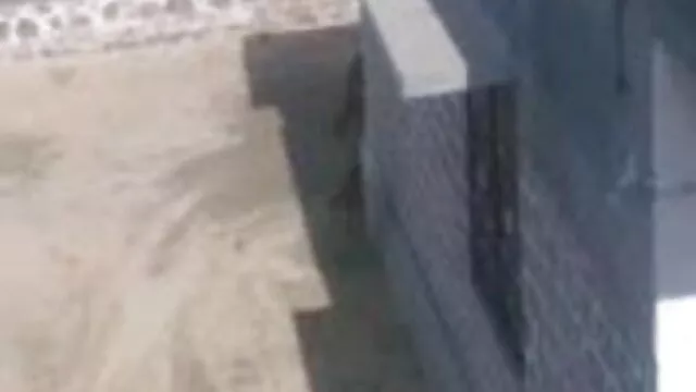 गर्म रोमा धूम्रपान और एक बार में देसी बीपी फिल्म पथपाकर पसंद करता है